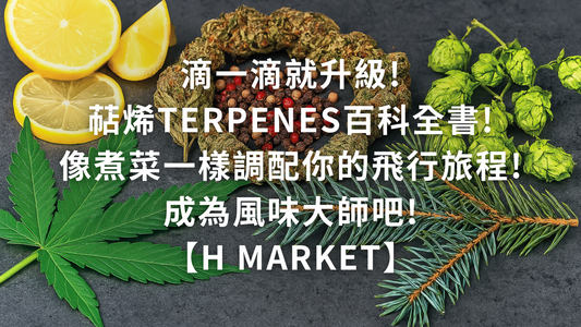 滴一滴就升級萜烯Terpenes百科全書!像煮菜一樣調配你的飛行旅程!成為風味大師吧!【H Market】