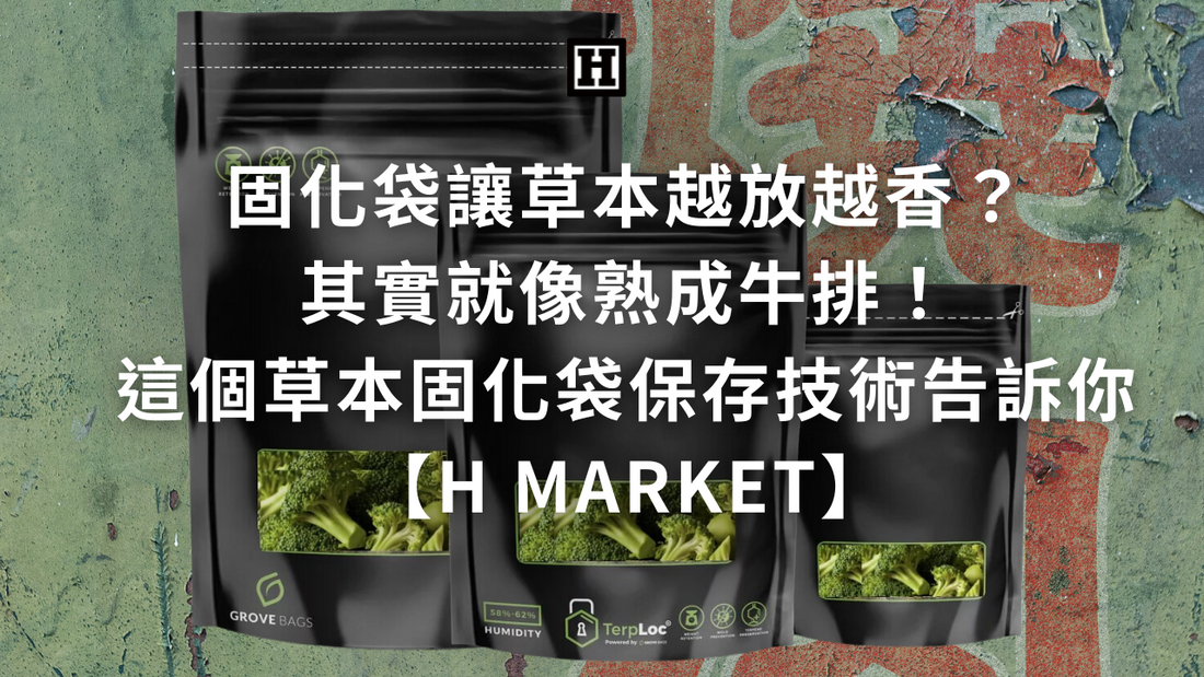 固化袋讓草本越放越香？其實就像熟成牛排！這個草本固化袋保存技術告訴你【H Market】