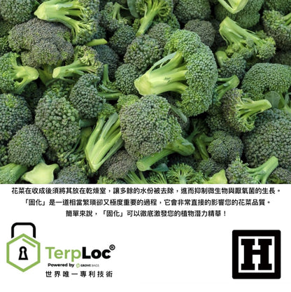 Grove Bags 固化儲存袋 「 TerpLoc® 專利技術 」